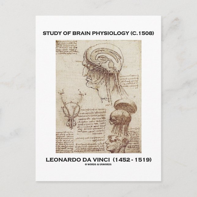 Studie über Gehirnphysiologie (Leonardo da Vinci 1 Postkarte (Vorderseite)