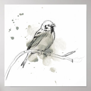 Studie über Gesturonale Vögel Poster