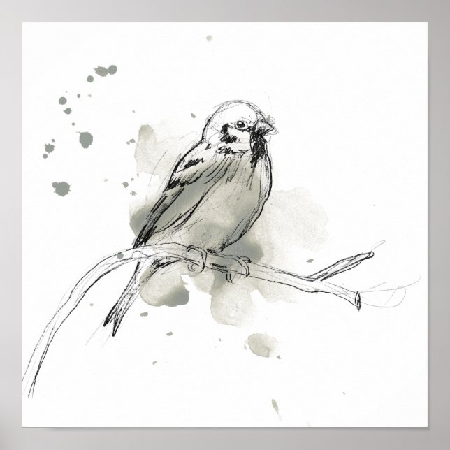 Studie über Gesturonale Vögel Poster (Vorne)