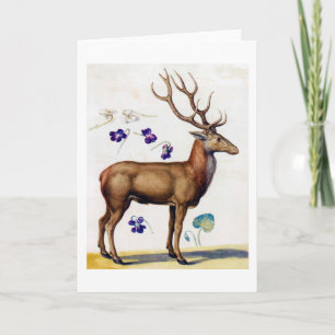 Studie über Hirsch und Blume, Arcimboldo Karte