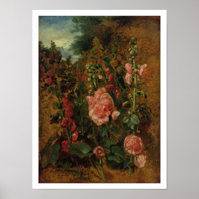 Studie über Hollyhocks, c.1826 (Öl an Bord) Poster (Vorne)