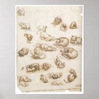 Studie über Katzen, Leonardo da Vinci