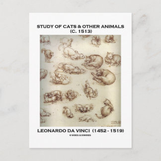 Studie über Katzen und andere Tiere (Leonardo da V Postkarte