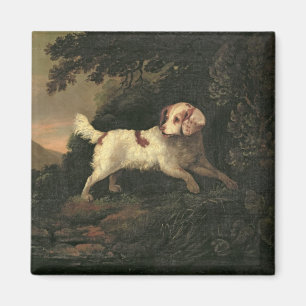 Studie von Clumber Spaniel Magnet