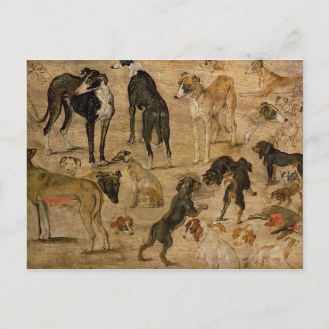 Studie von Hunden, 1616 Postkarte (Vorderseite)