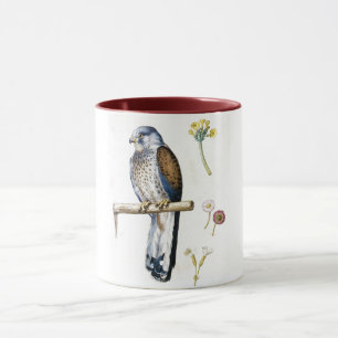 Studie von Kestrel und Blume, Arcimboldo Tasse