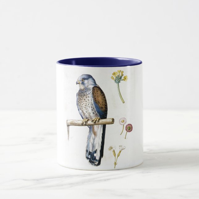 Studie von Kestrel und Blume, Arcimboldo Tasse (Zentrum)