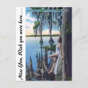 Studie von Knees Postkarte