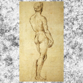 Studie von Michelangelos David Statue von Raphael Poster