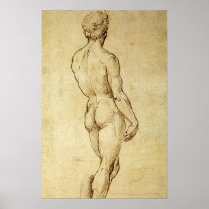 Studie von Michelangelos David-Statue von Raphael Poster