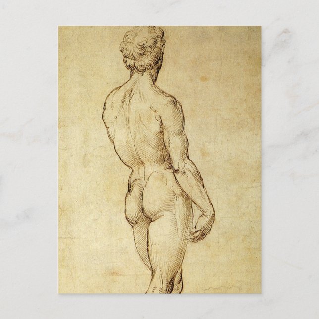 Studie von Michelangelos David Statue von Raphael Postkarte (Vorderseite)
