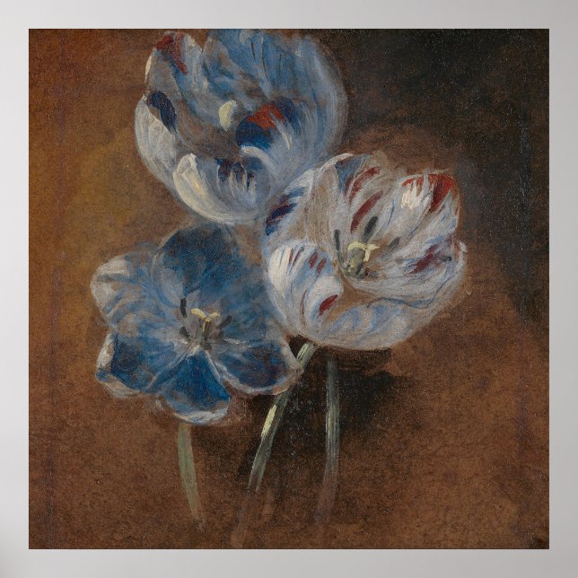 Studie von Three Parrot Tulips (Attrib. Constable) Poster (Vorne)