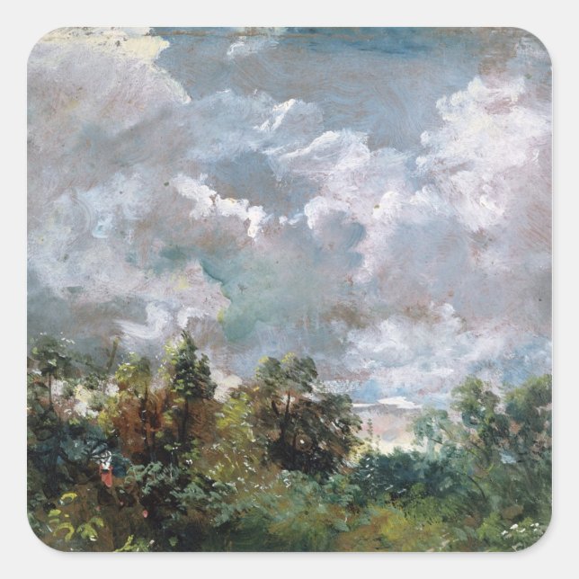 Studie zu Sky and Trees (Öl auf Leinwand) Quadratischer Aufkleber (Vorderseite)