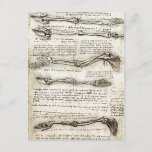 Studien am Arm, die die Bewegungen von B zeigen Postkarte