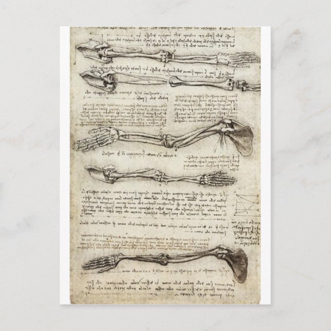 Studien am Arm Postkarte (Vorderseite)