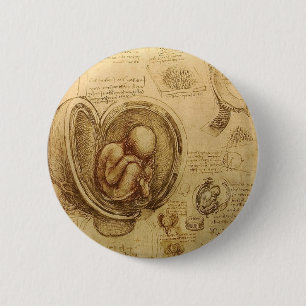 Studien der Embryos Button