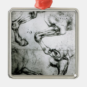 Studien der Pferdebeine Silbernes Ornament