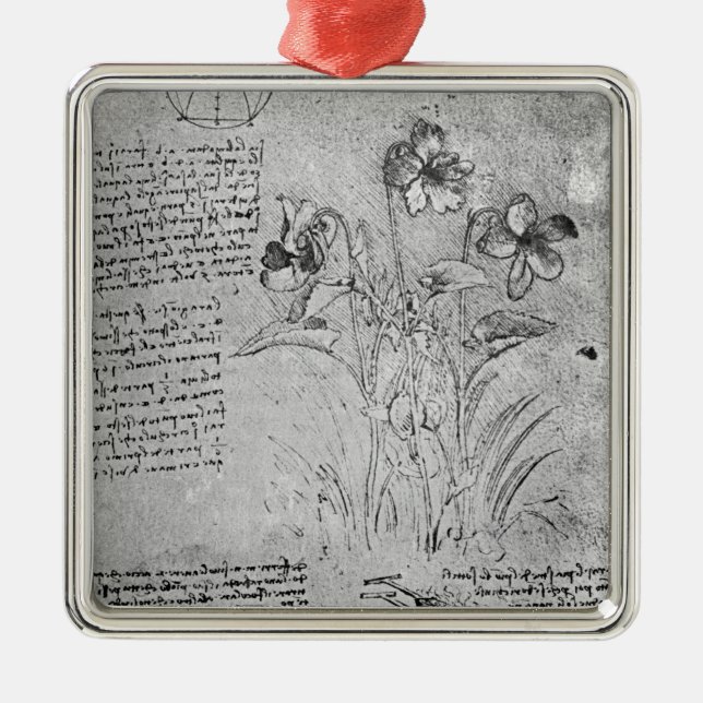 Studien der Viola Ornament Aus Metall (Vorne)