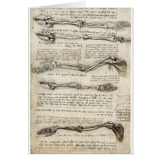 Studien des Armes durch Leonardo da Vinci C. 1510