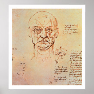 Studien über den Anteil von Gesicht und Auge, 14 Poster