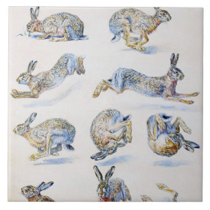 Studien von Wild Hare (Rabbit), Bruno Liljefors Fliese