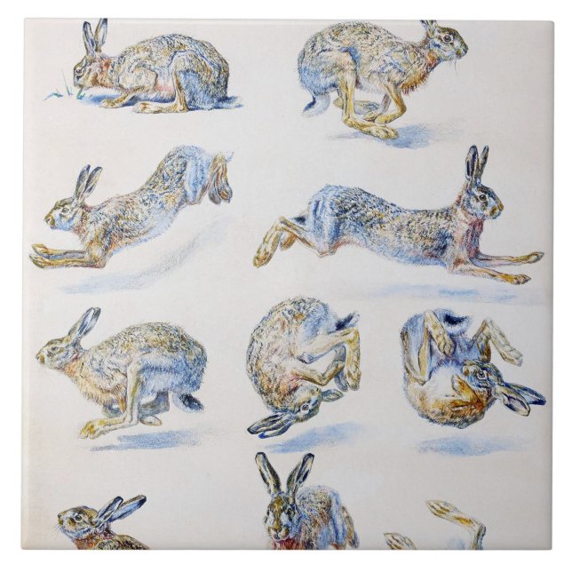 Studien von Wild Hare (Rabbit), Bruno Liljefors Fliese (Vorderseite)