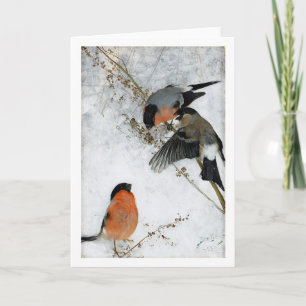 Studien von Wild Hare (Rabbit), Bruno Liljefors Karte