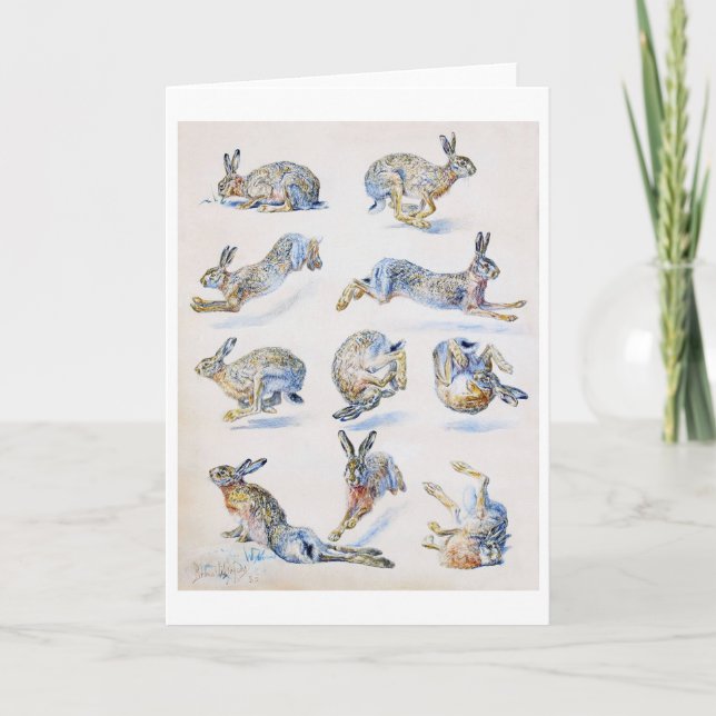 Studien von Wild Hare (Rabbit), Bruno Liljefors Karte (Vorderseite)