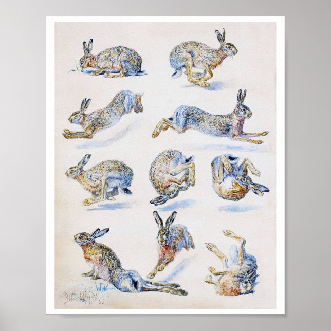 Studien von Wild Hare (Rabbit), Bruno Liljefors Poster (Vorne)