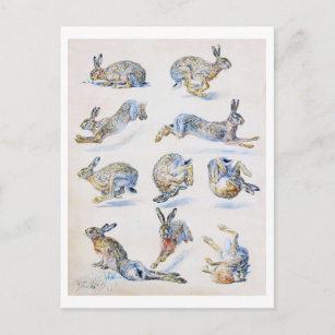 Studien von Wild Hare (Rabbit), Bruno Liljefors Postkarte