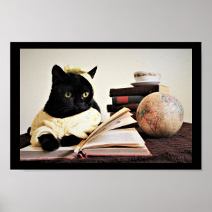Studienzeit Poster