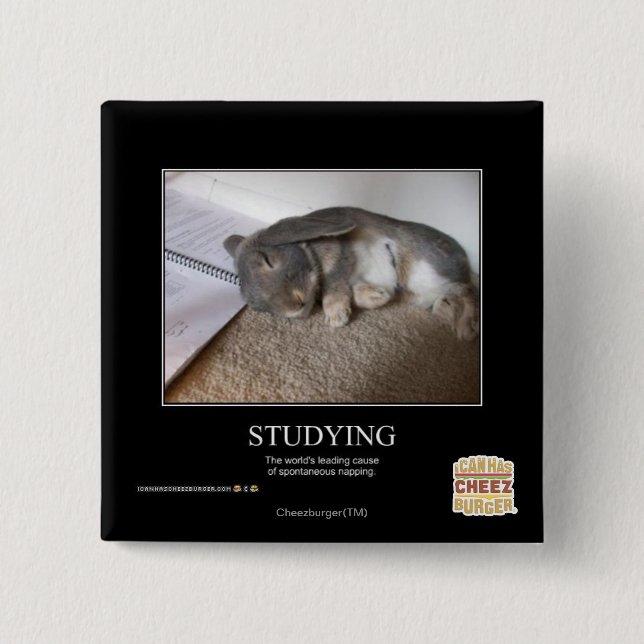 Studieren Button (Vorderseite)