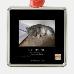 Studieren Silbernes Ornament