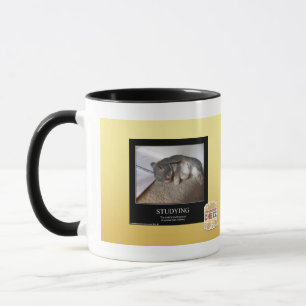 Studieren Tasse