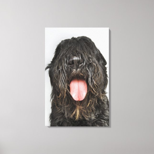 Studio-Aufnahme Leinwanddruck (Vorderseite)