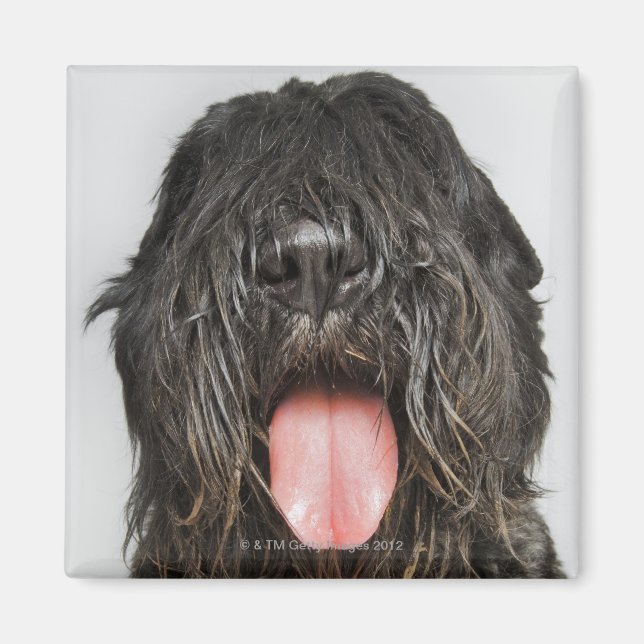 Studio-Aufnahme Magnet (Vorne)