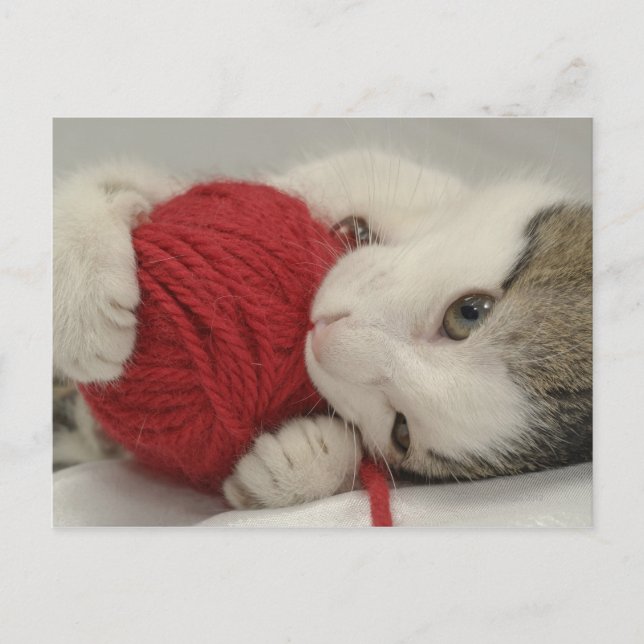 Studio-Aufnahme Postkarte (Vorderseite)