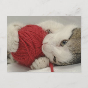 Studio-Aufnahme Postkarte