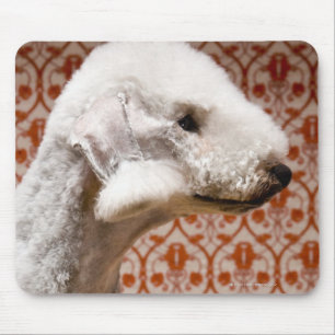 Studio geschossen von Bedlington Terrier Mousepad