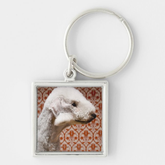 Studio geschossen von Bedlington Terrier Schlüsselanhänger (Vorne)
