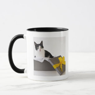 Studio geschossen von der Schwarzweiss-Katze in Tasse