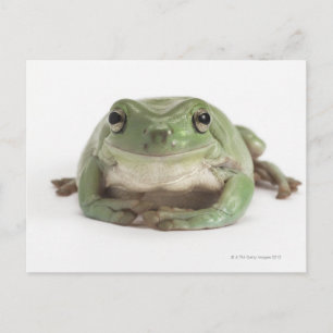 Studio mit Front View von einem lächelnden, weißen Postkarte