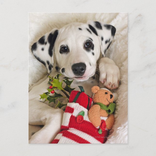 Studio Postkarte (Vorderseite)