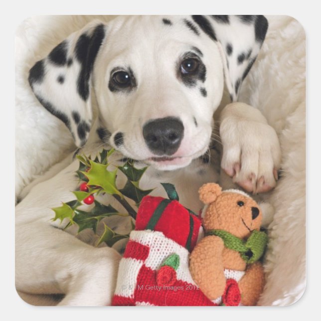 Studio Quadratischer Aufkleber (Vorderseite)