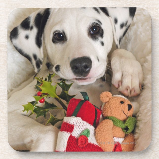 Studio Untersetzer (Vorderseite)