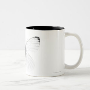 Studioaufnahme eines scharf geäderten weißen Schme Zweifarbige Tasse