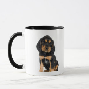 Studioporträt von Rottweiler Welpen Tasse