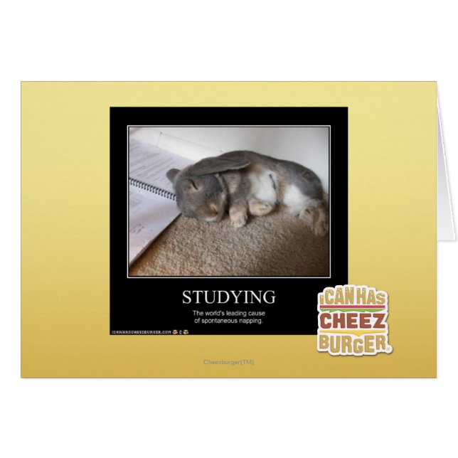 Studium (Vorderseite (Horizontal))