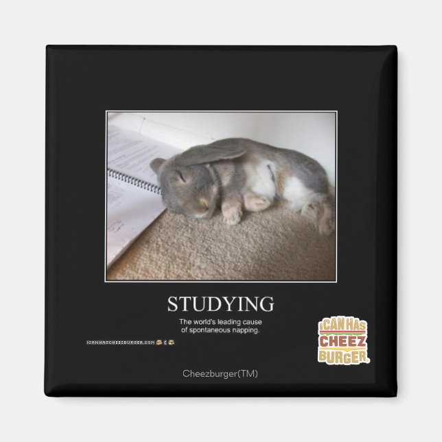 Studium Magnet (Vorne)