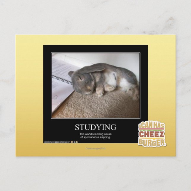 Studium Postkarte (Vorderseite)